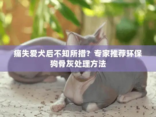 痛失爱犬后不知所措?专家推荐环保狗骨灰处理方法 痛失爱犬后不知所措?专家推荐环保狗骨灰处理方法