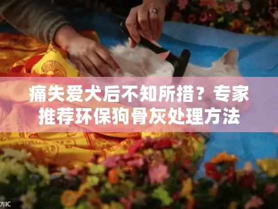 痛失爱犬后不知所措?专家推荐环保狗骨灰处理方法 痛失爱犬后不知所措?专家推荐环保狗骨灰处理方法