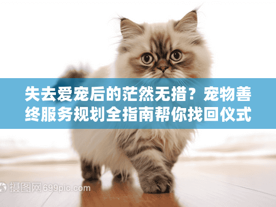 失去爱宠后的茫然无措？宠物善终服务规划全指南帮你找回仪式感