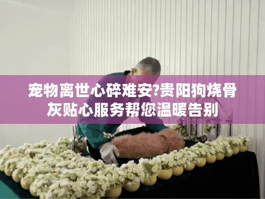 宠物离世心碎难安?贵阳狗烧骨灰贴心服务帮您温暖告别