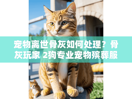 宠物离世骨灰如何处理？骨灰玩家 2狗专业宠物殡葬服务指南