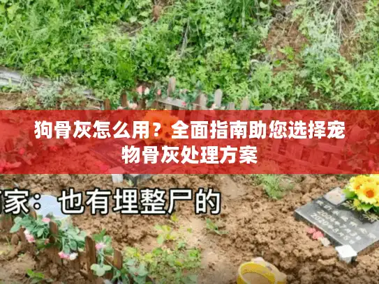 狗骨灰怎么用？全面指南助您选择宠物骨灰处理方案