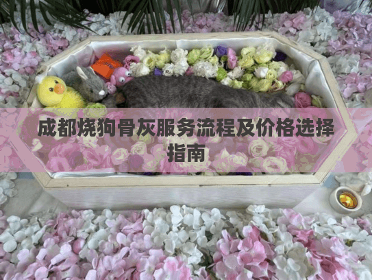 成都烧狗骨灰服务流程及价格选择指南