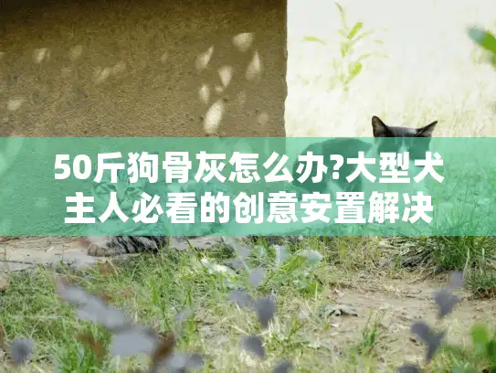 50斤狗骨灰怎么办?大型犬主人必看的创意安置解决方案
