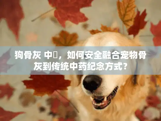 狗骨灰 中藥,如何安全融合宠物骨灰到传统中药纪念方式? 狗骨灰 中藥,如何安全融合宠物骨灰到传统中药纪念方式?