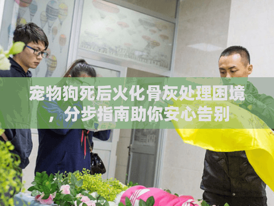 宠物狗死后火化骨灰处理困境，分步指南助你安心告别