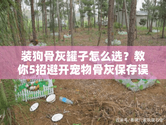 装狗骨灰罐子怎么选？教你5招避开宠物骨灰保存误区