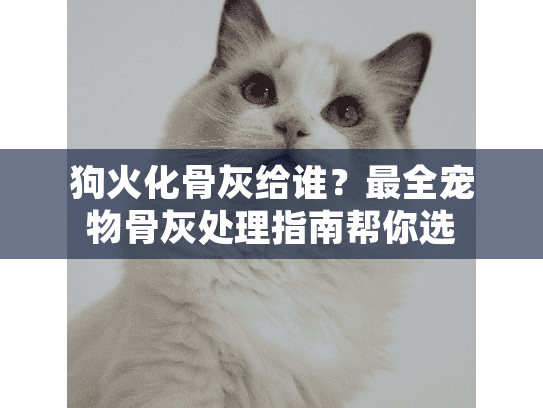 狗火化骨灰给谁？最全宠物骨灰处理指南帮你选