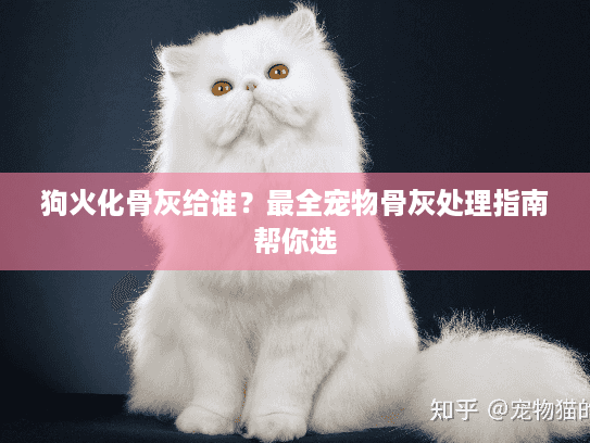 狗火化骨灰给谁？最全宠物骨灰处理指南帮你选