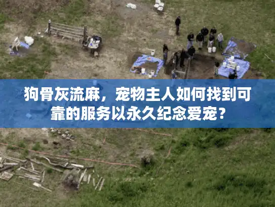 狗骨灰流麻，宠物主人如何找到可靠的服务以永久纪念爱宠？