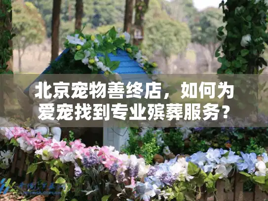 北京宠物善终店，如何为爱宠找到专业殡葬服务？
