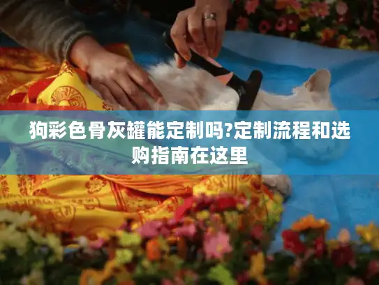 狗彩色骨灰罐能定制吗?定制流程和选购指南在这里 狗彩色骨灰罐能定制吗?定制流程和选购指南在这里