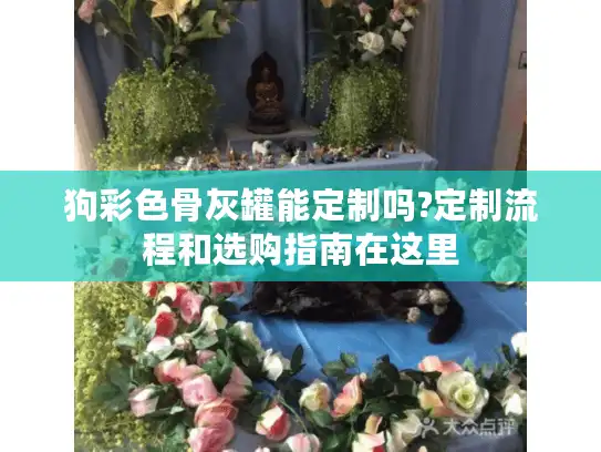 狗彩色骨灰罐能定制吗?定制流程和选购指南在这里 狗彩色骨灰罐能定制吗?定制流程和选购指南在这里