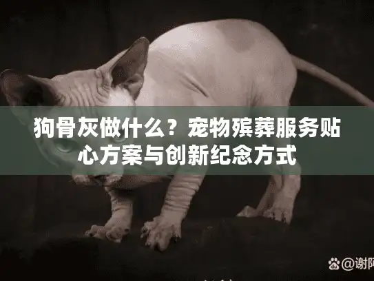 狗骨灰做什么?宠物殡葬服务贴心方案与创新纪念方式 狗骨灰做什么?宠物殡葬服务贴心方案与创新纪念方式