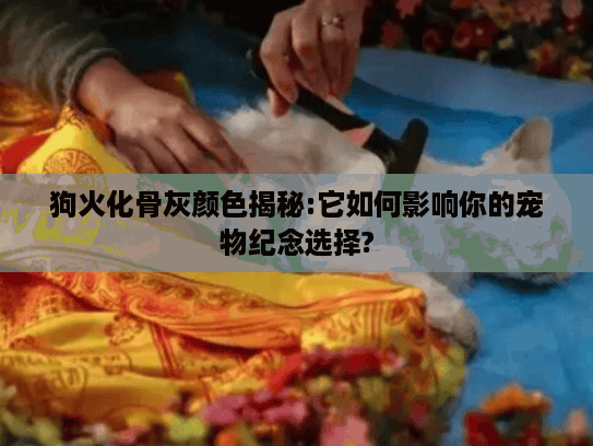 狗火化骨灰颜色揭秘:它如何影响你的宠物纪念选择?