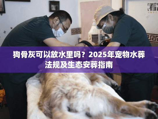 狗骨灰可以放水里吗？2025年宠物水葬法规及生态安葬指南