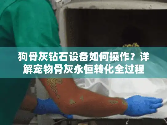 狗骨灰钻石设备如何操作？详解宠物骨灰永恒转化全过程