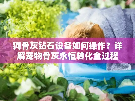 狗骨灰钻石设备如何操作？详解宠物骨灰永恒转化全过程