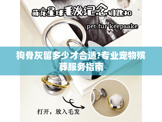 狗骨灰留多少才合适?专业宠物殡葬服务指南