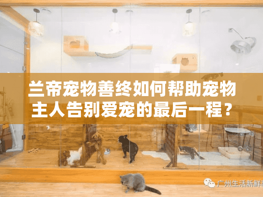 兰帝宠物善终如何帮助宠物主人告别爱宠的最后一程? 兰帝宠物善终如何帮助宠物主人告别爱宠的最后一程?