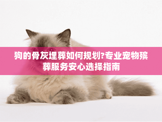 狗的骨灰埋葬如何规划?专业宠物殡葬服务安心选择指南 狗的骨灰埋葬如何规划?专业宠物殡葬服务安心选择指南