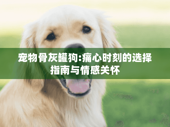 宠物骨灰罐狗:痛心时刻的选择指南与情感关怀 宠物骨灰罐狗:痛心时刻的选择指南与情感关怀
