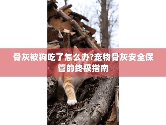 骨灰被狗吃了怎么办?宠物骨灰安全保管的终极指南