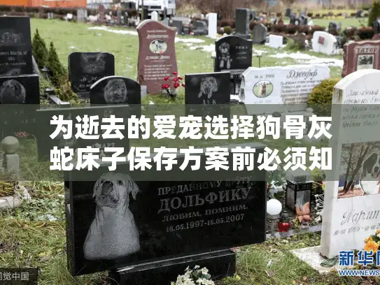 为逝去的爱宠选择狗骨灰蛇床子保存方案前必须知道的5个问题