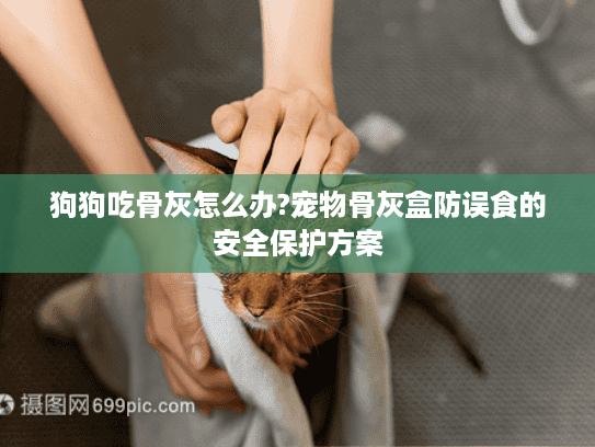 狗狗吃骨灰怎么办?宠物骨灰盒防误食的安全保护方案