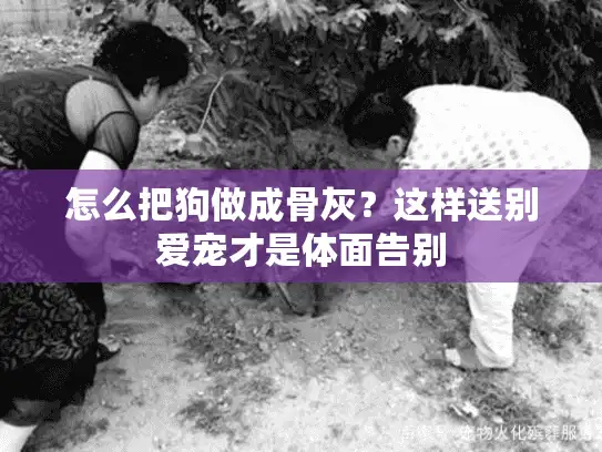 怎么把狗做成骨灰?这样送别爱宠才是体面告别 怎么把狗做成骨灰?这样送别爱宠才是体面告别