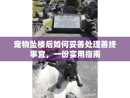 宠物坠楼后如何妥善处理善终事宜，一份实用指南