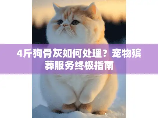 4斤狗骨灰如何处理?宠物殡葬服务终极指南 4斤狗骨灰如何处理?宠物殡葬服务终极指南