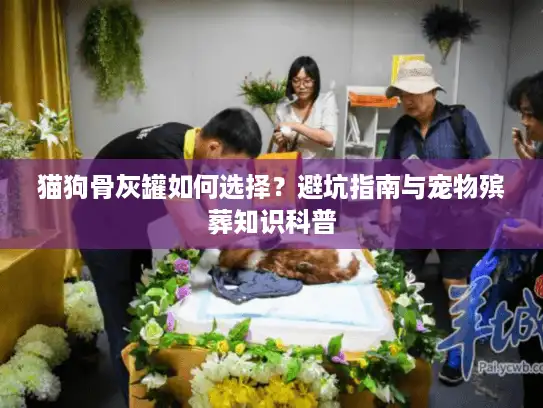 猫狗骨灰罐如何选择?避坑指南与宠物殡葬知识科普 猫狗骨灰罐如何选择?避坑指南与宠物殡葬知识科普