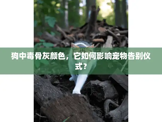 狗中毒骨灰颜色，它如何影响宠物告别仪式？