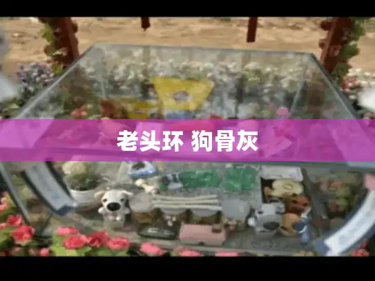 老头环 狗骨灰 老头环 狗骨灰