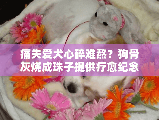 痛失爱犬心碎难熬？狗骨灰烧成珠子提供疗愈纪念！