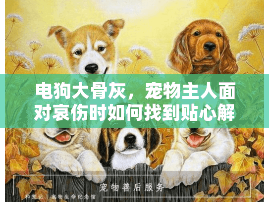 电狗大骨灰，宠物主人面对哀伤时如何找到贴心解决方案？