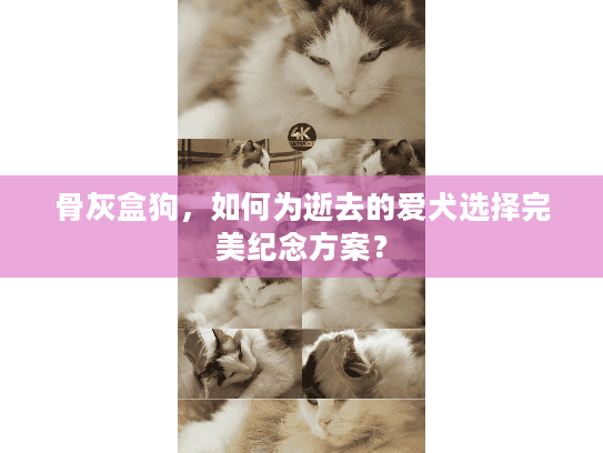 骨灰盒狗,如何为逝去的爱犬选择完美纪念方案? 骨灰盒狗,如何为逝去的爱犬选择完美纪念方案?