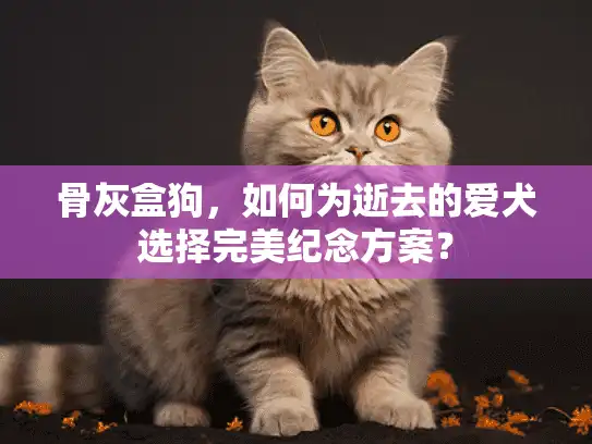 骨灰盒狗,如何为逝去的爱犬选择完美纪念方案? 骨灰盒狗,如何为逝去的爱犬选择完美纪念方案?