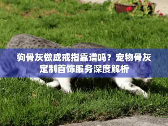 狗骨灰做成戒指靠谱吗?宠物骨灰定制首饰服务深度解析 狗骨灰做成戒指靠谱吗?宠物骨灰定制首饰服务深度解析