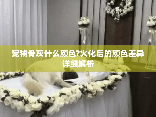 宠物骨灰什么颜色?火化后的颜色差异详细解析 宠物骨灰什么颜色?火化后的颜色差异详细解析