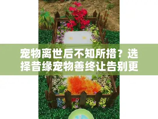 宠物离世后不知所措？选择昔缘宠物善终让告别更温暖