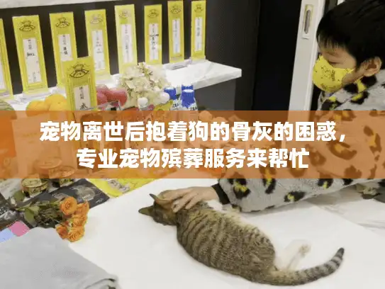宠物离世后抱着狗的骨灰的困惑,专业宠物殡葬服务来帮忙 宠物离世后抱着狗的骨灰的困惑,专业宠物殡葬服务来帮忙