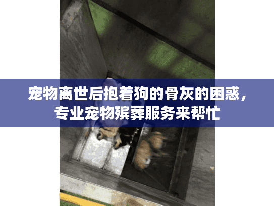 宠物离世后抱着狗的骨灰的困惑,专业宠物殡葬服务来帮忙 宠物离世后抱着狗的骨灰的困惑,专业宠物殡葬服务来帮忙