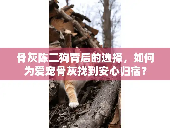 骨灰陈二狗背后的选择，如何为爱宠骨灰找到安心归宿？
