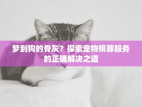 梦到狗的骨灰?探索宠物殡葬服务的正确解决之道 梦到狗的骨灰?探索宠物殡葬服务的正确解决之道