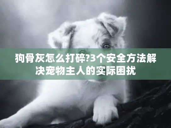 狗骨灰怎么打碎?3个安全方法解决宠物主人的实际困扰