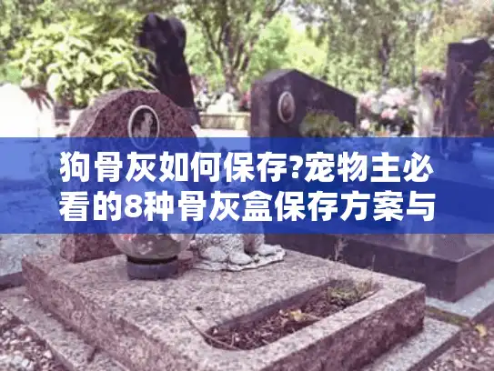 狗骨灰如何保存?宠物主必看的8种骨灰盒保存方案与避坑指南