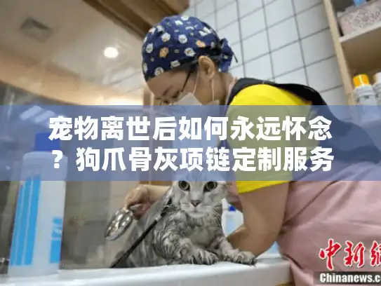 宠物离世后如何永远怀念？狗爪骨灰项链定制服务助你寄托思念