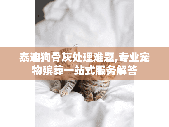 泰迪狗骨灰处理难题,专业宠物殡葬一站式服务解答